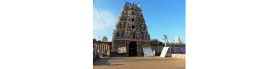 161. திரு இரும்பூளை (ஆலங்குடி)